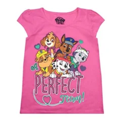 Nickelodeon Girl's 3-Pack Perfect Team Paw Patrol Short Sleeve Graphic Tee Assortment For Kids
