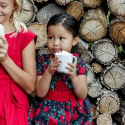 Hope & Henry Girls' Short Sleeve Ruffle Collar Party Dress With Bow, Infant -ActiveMode Sales Store GUEST 48426cf2 0010 417b a0e3 8aaa98de72ca