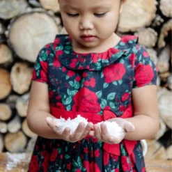 Hope & Henry Girls' Short Sleeve Ruffle Collar Party Dress With Bow, Infant -ActiveMode Sales Store GUEST 531bfc81 c833 4e7a 9b4c 861caf1c5311