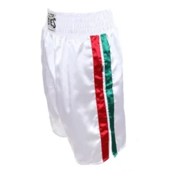 Cleto Reyes Satin Classic Boxing Trunks -ActiveMode Sales Store GUEST a78a4ac4 8dcb 466d accb 84be3f64129d
