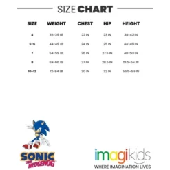 SEGA Sonic The Hedgehog Girls One Piece Bathing Suit Little Kid To Big Kid -ActiveMode Sales Store GUEST b1e37403 5f50 47c9 ada3 535765f3f8ea