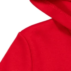 Disney Minnie Mouse Mickey Goofy Donald Duck Daisy Baby Girls Pullover Hoodie Infant