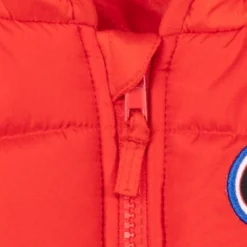 Disney Pixar Cars Lightning McQueen Winter Coat Puffer Jacket Toddler -ActiveMode Sales Store GUEST e3ccb71d 9ca8 4b99 8b0f b5c2a7c27659