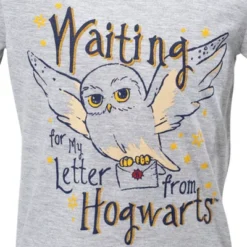 Harry Potter Hedwig Owl Girls T-Shirt And French Terry Shorts Outfit Set Little Kid To Big Kid 10 Harry Potter Hedwig Owl Girls T-Shirt And French Terry Shorts Outfit Set Little Kid To Big Kid -ActiveMode Sales Store GUEST e47d1c82 bb43 41af a335 7b8dd8824e15