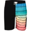 Reel Life Bal Harbor Rainbow Stripe Boardwalk Shorts - Anthracite